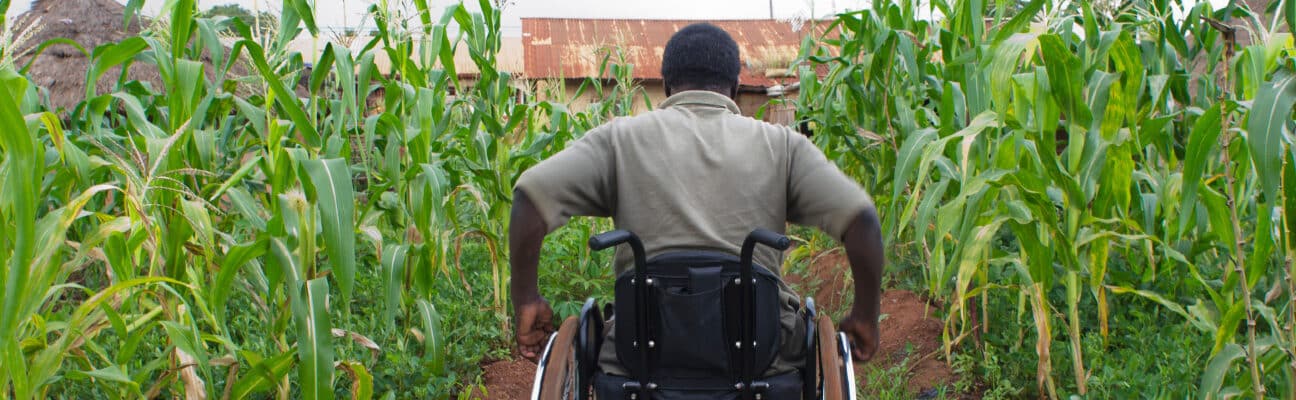 Man in a wheelchair pushes himself through a field towards a house.