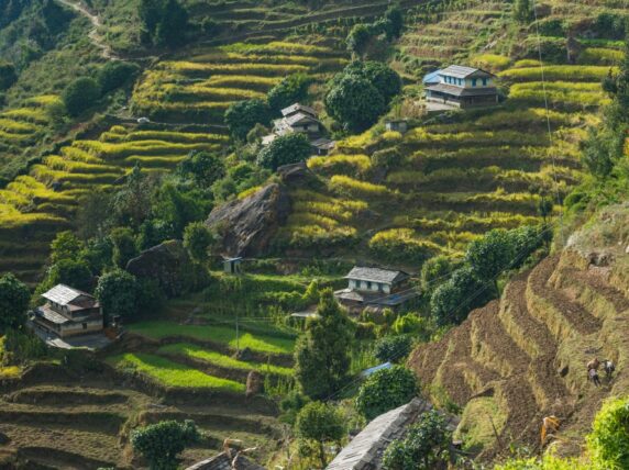 Himalayas Annapurna Sanctuary farm terraces Nepal