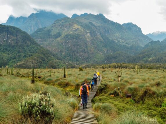 Hikers in Rwenzori Mountains, Uganda